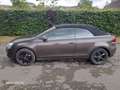 Volkswagen Golf Cabriolet 1.2 TSI Marrón - thumbnail 11