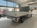 Opel Movano 7 Posti Cassonato Bianco - thumbnail 5