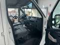 Opel Movano 7 Posti Cassonato Bianco - thumbnail 11