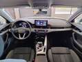 Audi A4 40 tdi mhev S line quattro 204cv s-tronic MATRIX Bianco - thumbnail 7