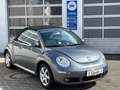 Volkswagen New Beetle Cabriolet 1.6 Freestyle|SHZ|ZAHNRNEU siva - thumbnail 3