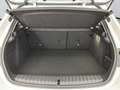 BMW 120 5-Türer [M Sport, Navi, RFK, SHZ, 18" LMR] Weiß - thumbnail 12