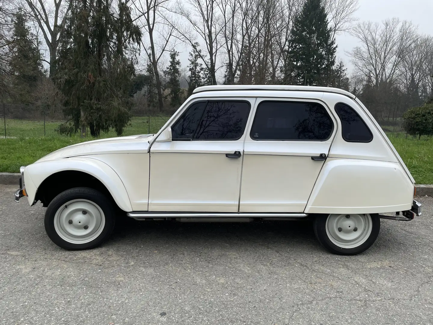 Citroen Dyane - 1