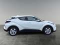 Toyota C-HR C-HR 1,8 HSD C-HIC'18 Weiß - thumbnail 6