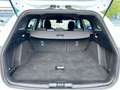 Ford Focus FOCUS TURNIER ST-LINE-LED-KAMERA-SHZ-AMBIENTE Blanc - thumbnail 20