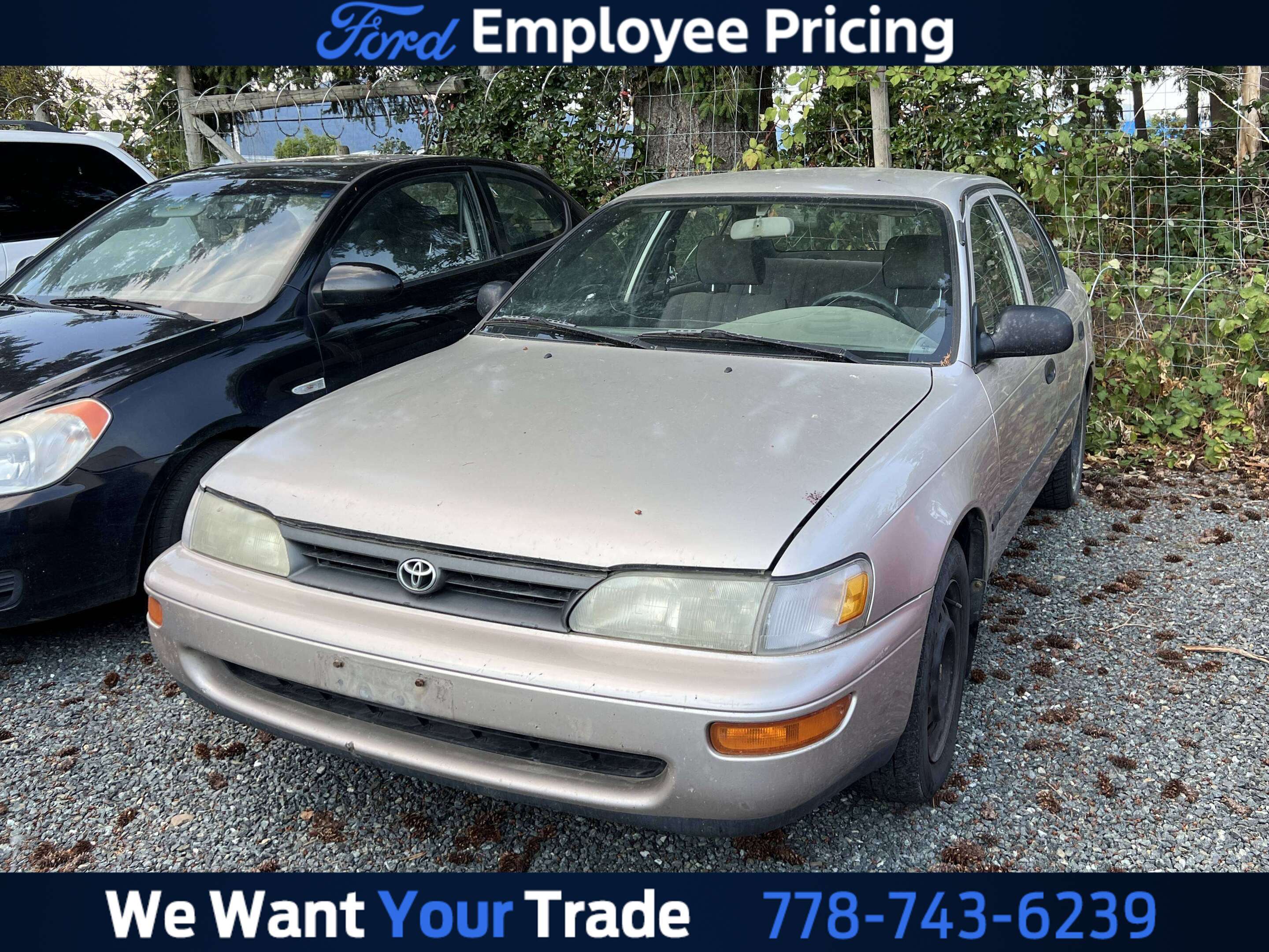 Gold 1994 Toyota Corolla Sedan Front-Wheel Drive Automatic