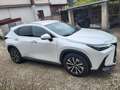 Lexus NX 200t NX II 2022 350h 2.5 Premium 4wd 244cv e-cvt Blanc - thumbnail 2