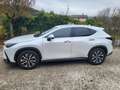 Lexus NX 200t NX II 2022 350h 2.5 Premium 4wd 244cv e-cvt Blanc - thumbnail 3