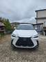 Lexus NX 200t NX II 2022 350h 2.5 Premium 4wd 244cv e-cvt Blanc - thumbnail 1