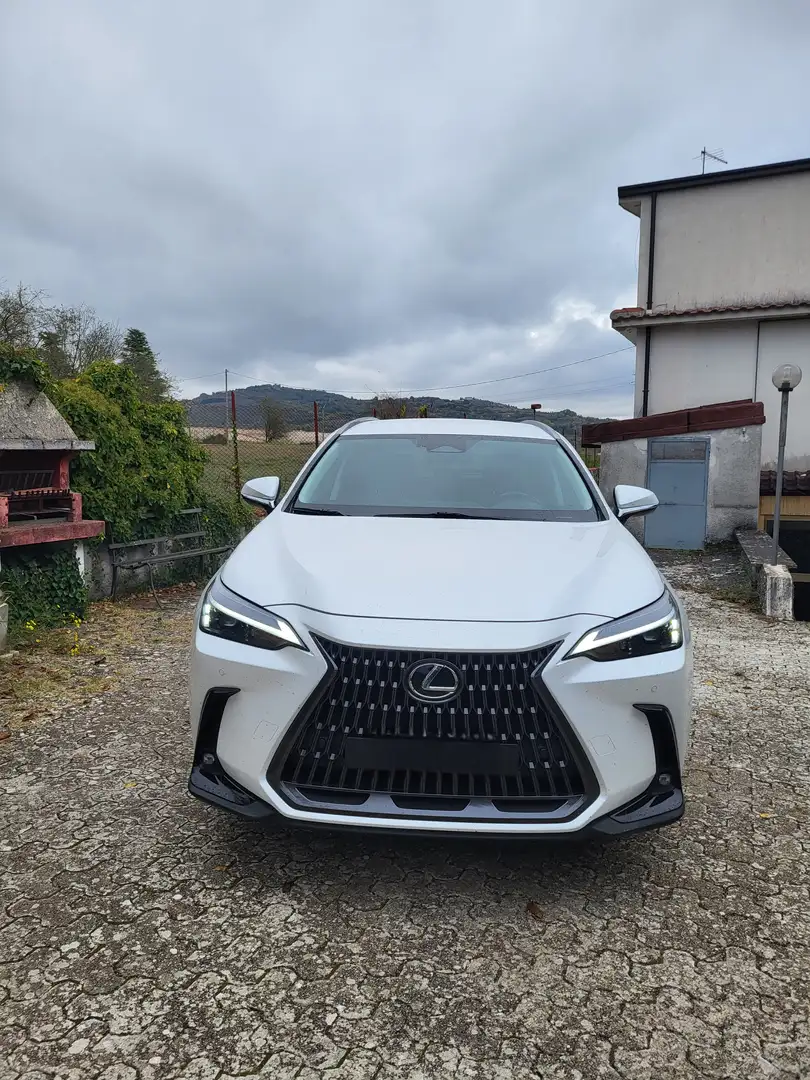 Lexus NX 200t NX II 2022 350h 2.5 Premium 4wd 244cv e-cvt Blanc - 1
