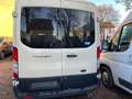Ford Transit 350 L3 Trend Beige - thumbnail 6