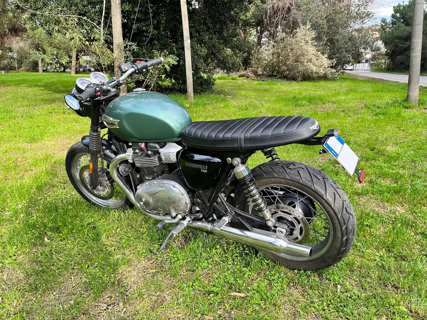Triumph Bonneville T100 SPECIAL Vert - 2