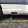 Citroen Berlingo 600 1.9 D Niveau A - thumbnail 7