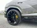 Lamborghini Urus S AWD  Keramik Versiegelung Netto 278.000.- export Grau - thumbnail 8