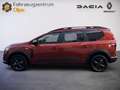 Dacia Jogger Extreme+, Ganzjahresreifen, ab 1,49% Braun - thumbnail 7