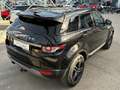 Land Rover Range Rover Evoque Pure 2,2 TD4 Schwarz - thumbnail 5