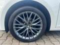 SEAT Leon SC/Automatik/Scheckheft/Kamera/ Weiß - thumbnail 19