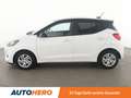 Hyundai i10 1.0 i Line Plus*SPUR*PDC*SHZ*KLIMA*TEMPO* Weiß - thumbnail 3