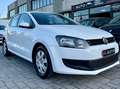 Volkswagen Polo Polo V 2009 5p 1.2 Trendline 60cv Bianco - thumbnail 2