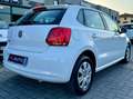Volkswagen Polo Polo V 2009 5p 1.2 Trendline 60cv Bianco - thumbnail 5