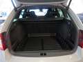 Skoda Octavia 2.0 TDI RS 4x4 DSG KAMERA LED MEMORY Gris - thumbnail 22