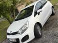 Kia Rio Rio 1.1 CRDi Easy Blanc - thumbnail 8