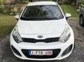 Kia Rio Rio 1.1 CRDi Easy Blanc - thumbnail 9