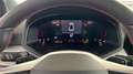 SEAT Arona 1.0 TSI S&S Xperience DSG7 XM 115 Negro - thumbnail 5