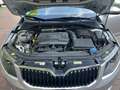 Skoda Octavia 1.8 TSI Style / StdHzg, Xenon, Leder, Navi Grau - thumbnail 10