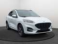 Ford Kuga ST-Line X 2.5 PHEV AUTO 225ch DEMO GAR 10/25 Blanc - thumbnail 1