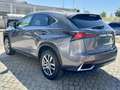 Lexus NX 300 300h Executive 4WD Gris - thumbnail 5