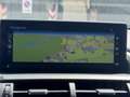 Lexus NX 300 300h Executive 4WD Gris - thumbnail 22