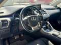 Lexus NX 300 300h Executive 4WD Gris - thumbnail 9