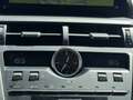 Lexus NX 300 300h Executive 4WD Gris - thumbnail 21