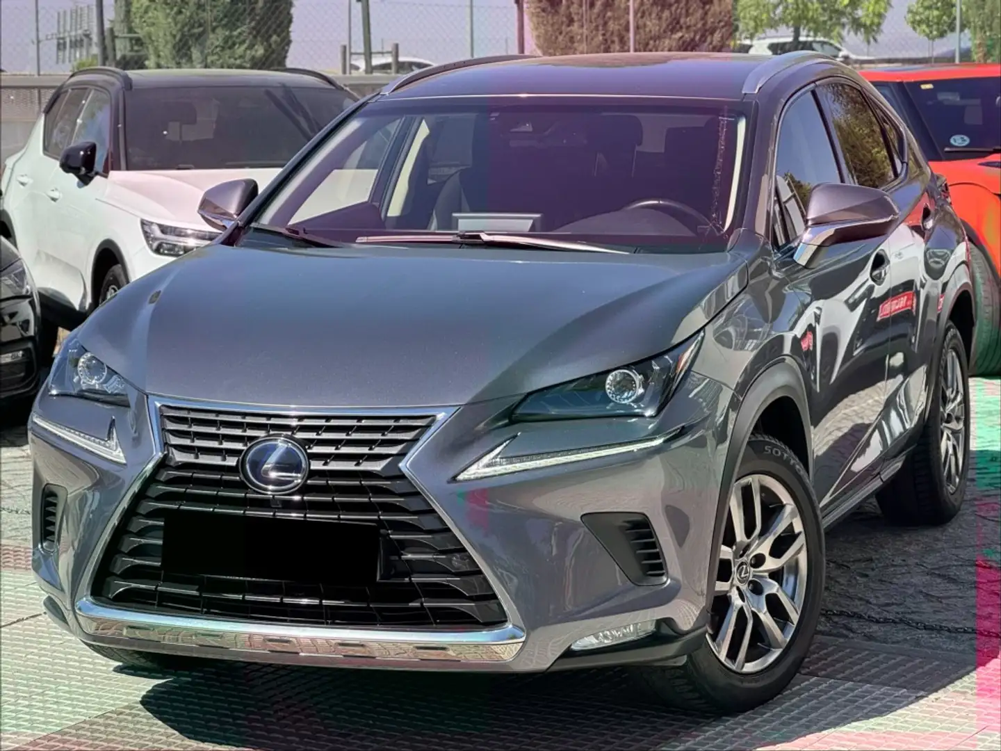 Lexus NX 300 300h Executive 4WD Gris - 1