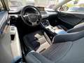 Lexus NX 300 300h Executive 4WD Gris - thumbnail 11