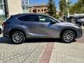 Lexus NX 300 300h Executive 4WD Gris - thumbnail 8