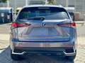 Lexus NX 300 300h Executive 4WD Gris - thumbnail 6