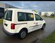 Volkswagen Caddy Caddy Combi benzine 5 plaatsen/cruise/airco Blanc - thumbnail 6