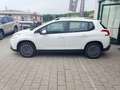 Peugeot 2008 1.6 bluehdi Active 100cv Bianco - thumbnail 3