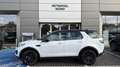 Land Rover Discovery Sport P200 SE Bianco - thumbnail 3