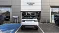 Land Rover Discovery Sport P200 SE Bianco - thumbnail 4