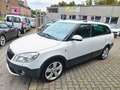 Skoda Fabia Combi Scout Automatik Navi Bílá - thumbnail 5