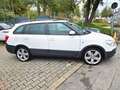 Skoda Fabia Combi Scout Automatik Navi Bílá - thumbnail 2
