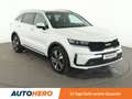 Kia Sorento 1.6 TGDI Plug-in Hybrid Platinum 4WD Aut*NAVI*LED* Weiß - thumbnail 8