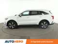 Kia Sorento 1.6 TGDI Plug-in Hybrid Platinum 4WD Aut*NAVI*LED* Weiß - thumbnail 3