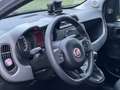 Fiat Panda 1.0 firefly hybrid City Cross s Grigio - thumbnail 9