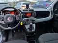Fiat Panda 1.0 firefly hybrid City Cross s Grigio - thumbnail 14