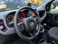 Fiat Panda 1.0 firefly hybrid City Cross s Grigio - thumbnail 13