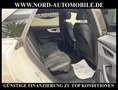 Audi Q8 55 TFSI QU.S-Line B&O/22/Pano/Luft/Matrix/ S-Line Beyaz - thumbnail 16